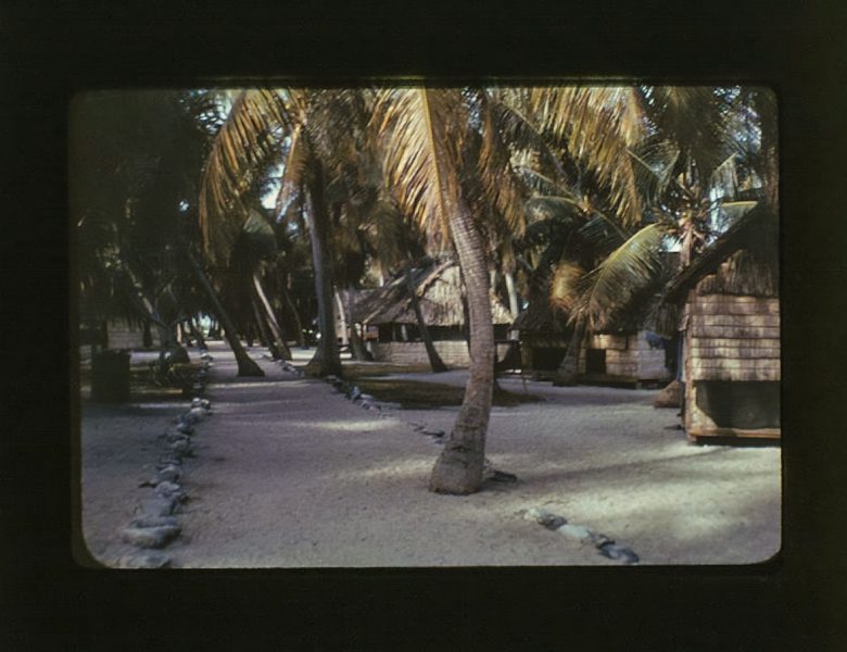 Mason, Leonard, 00.0026-K “Shot of the Rongerik village street.,”